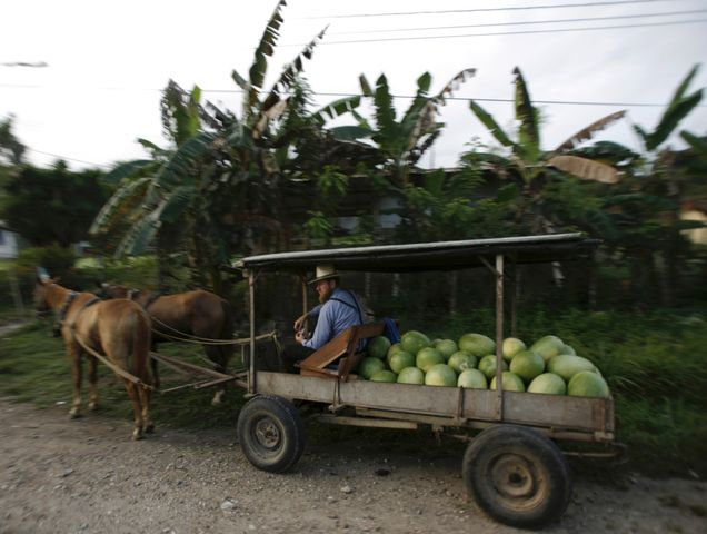 A Belizean smallholder farmer with a cart of produce