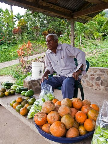 A Belizean fruit peddler at a roadside stand
